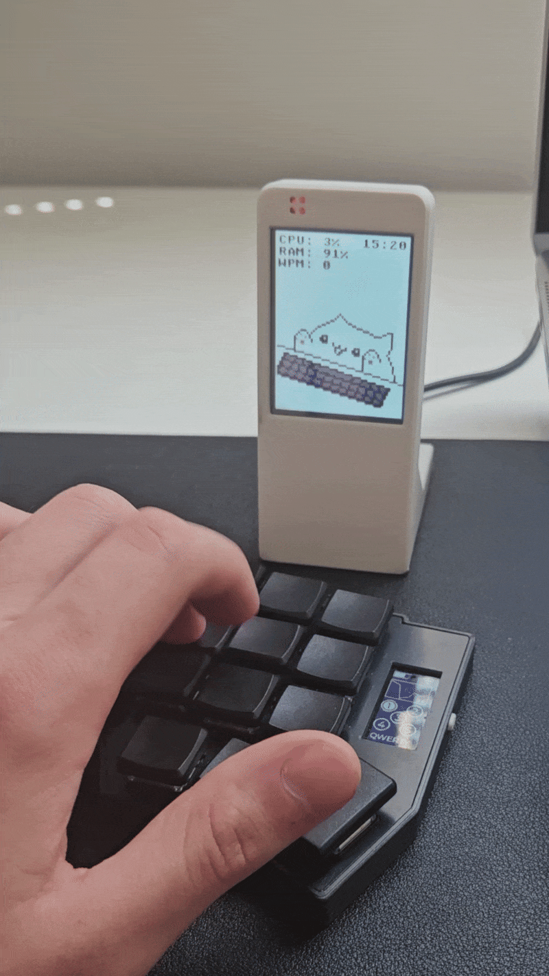 Bongo Cat Typing Companion - 2